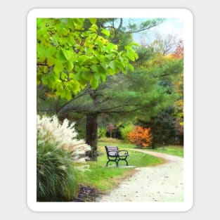 Ornamental Grass in Autumn Park Sticker